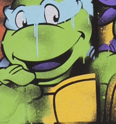 teenage mutant ninja turtles shirt